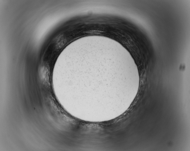 X0000115230146200911201605