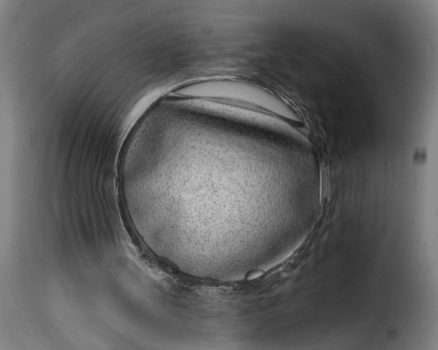 X0000115230147200911201605