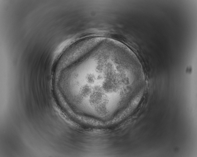 X0000115230149200911201605