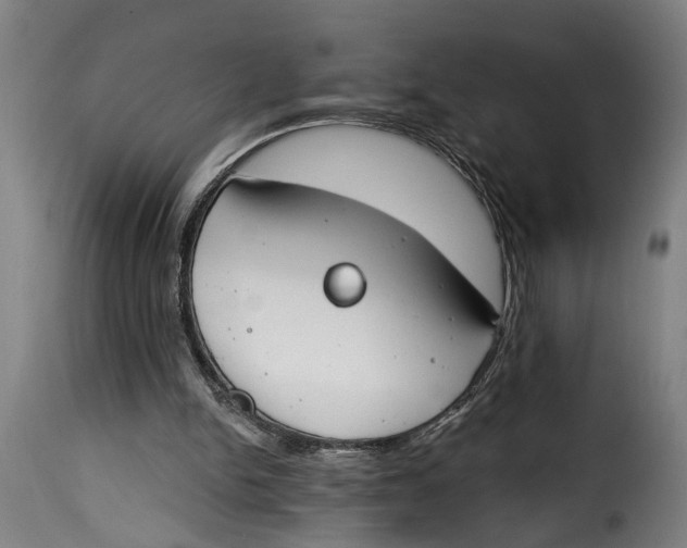 X0000115230150200911201605