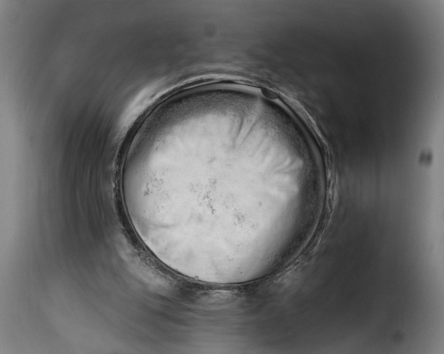 X0000115230151200911201605