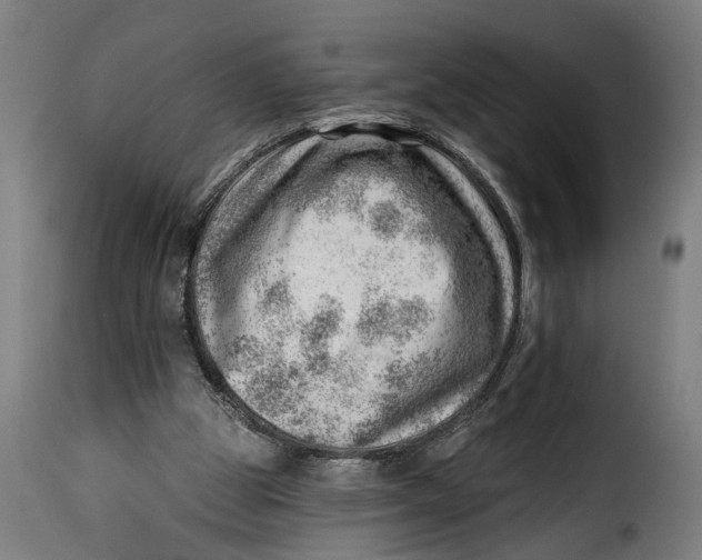 X0000115230153200911201605