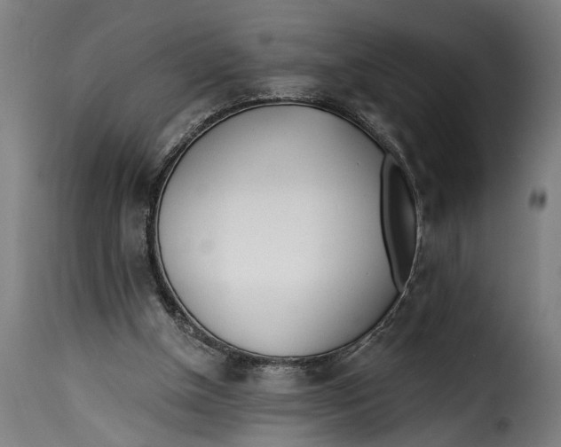 X0000115230154200911201605