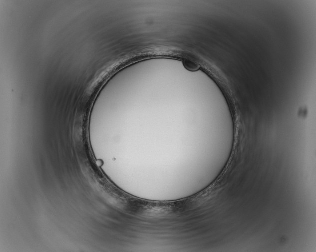 X0000115230155200911201605