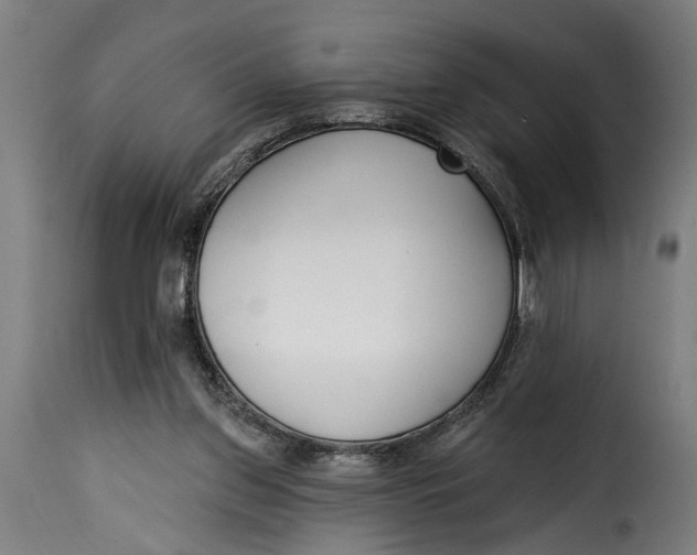 X0000115230157200911201605