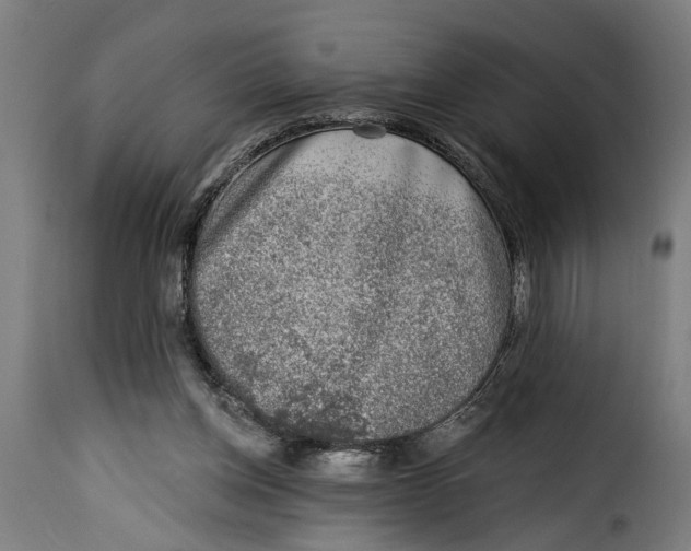 X0000115230158200911201605