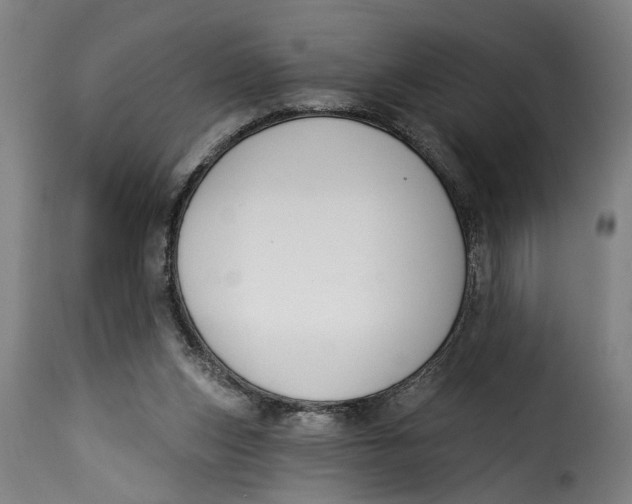 X0000115230159200911201605