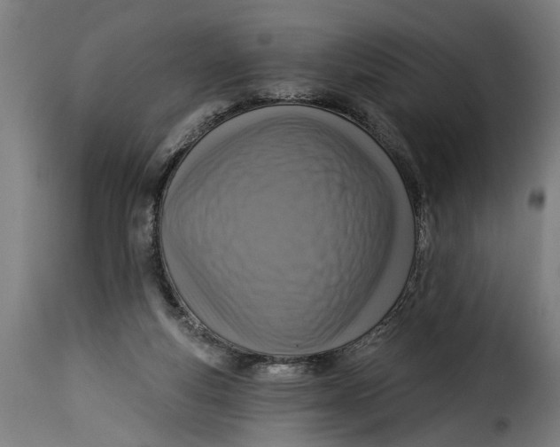 X0000115230163200911201605