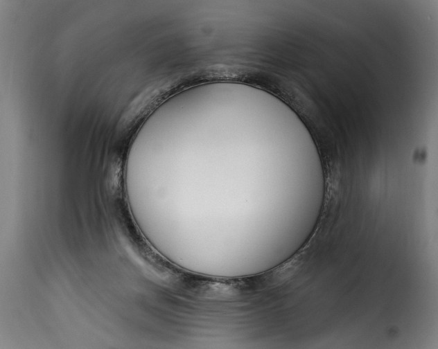 X0000115230166200911201605