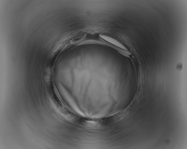 X0000115230167200911201605