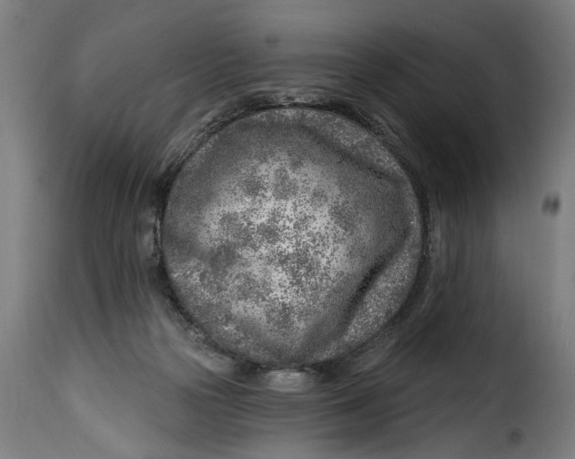 X0000115230169200911201606