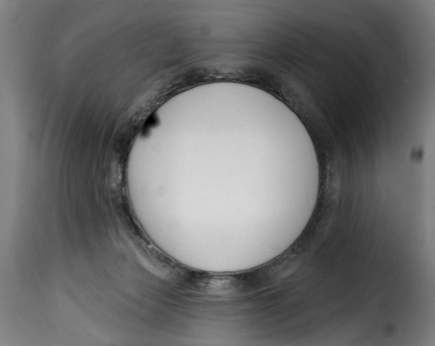 X0000115230173200911201606