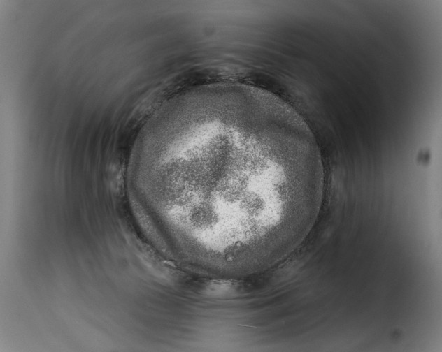 X0000115230177200911201606