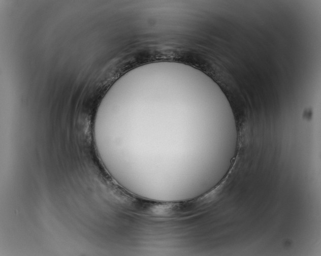 X0000115230178200911201606