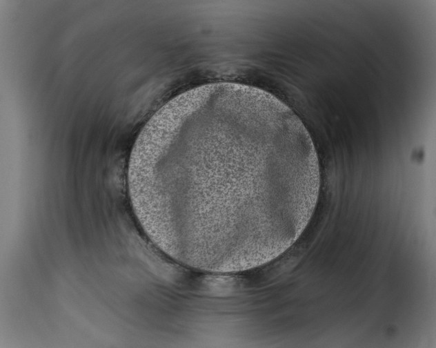 X0000115230181200911201606