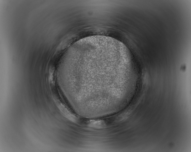 X0000115230185200911201606