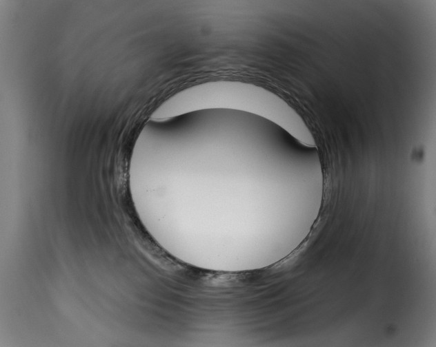 X0000115230186200911201606