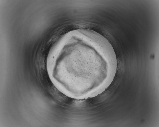 X0000115230189200911201606