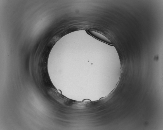 X0000115230190200911201606