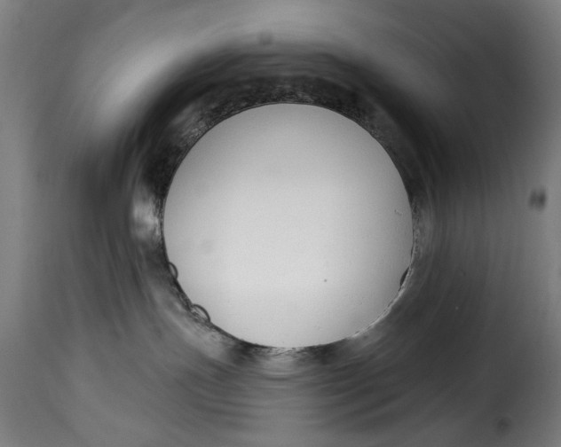 X0000115230191200911201606