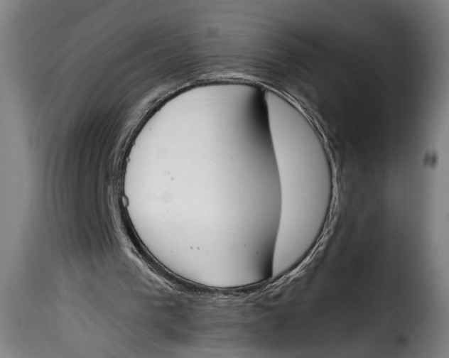 X0000115230193200911201605