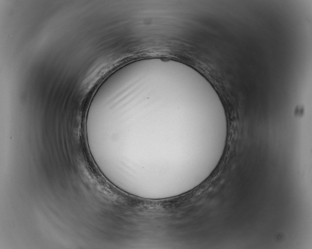 X0000115230194200911201605