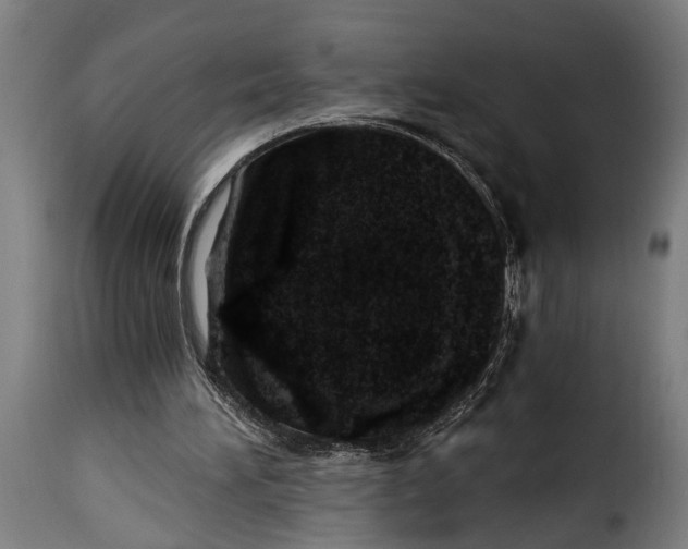 X0000115230196200911201605