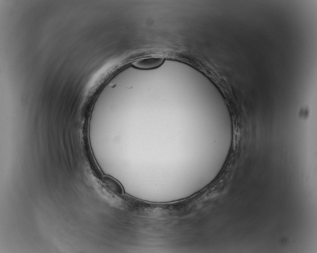 X0000115230197200911201605