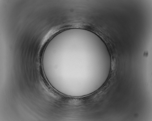 X0000115230198200911201605