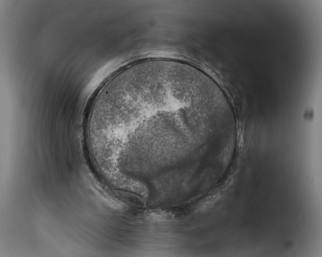 X0000115230199200911201605