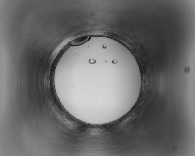 X0000115230200200911201605