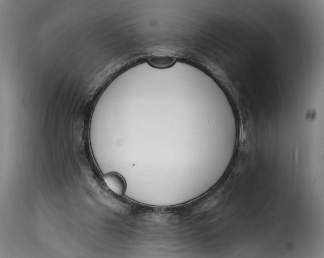 X0000115230201200911201605