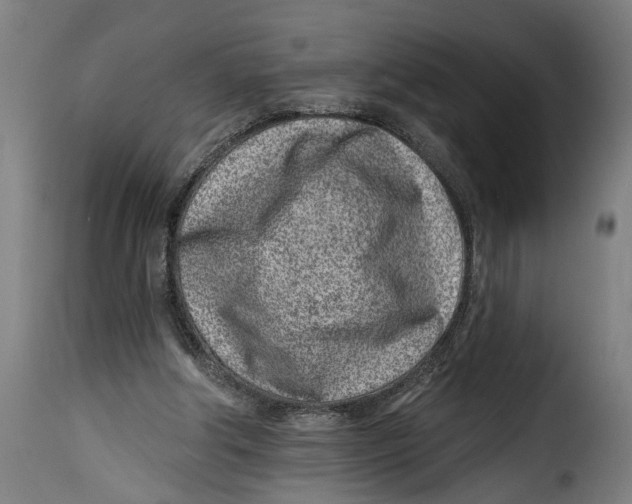 X0000115230202200911201605