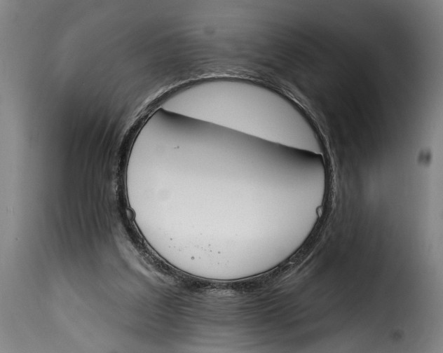 X0000115230203200911201605