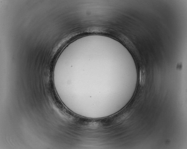 X0000115230204200911201605