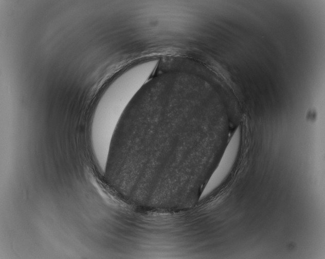 X0000115230205200911201605