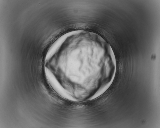 X0000115230206200911201605