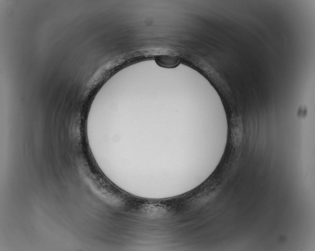 X0000115230207200911201605