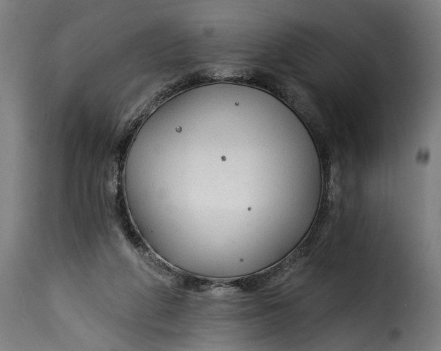 X0000115230210200911201605