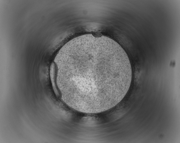 X0000115230211200911201605