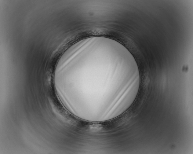 X0000115230214200911201605