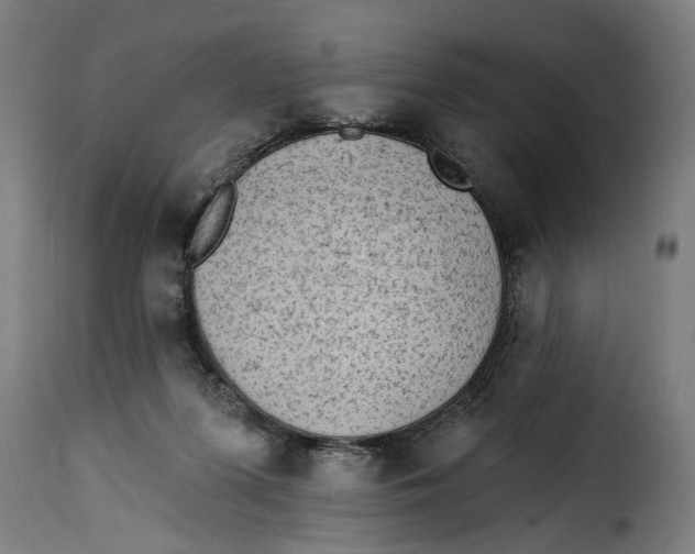 X0000115230215200911201605