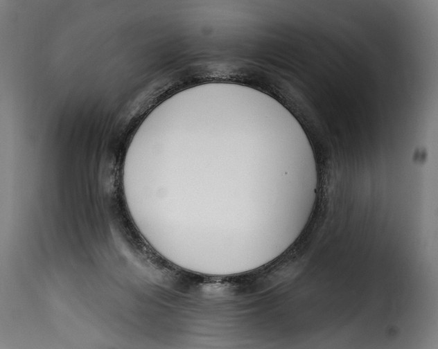 X0000115230216200911201605