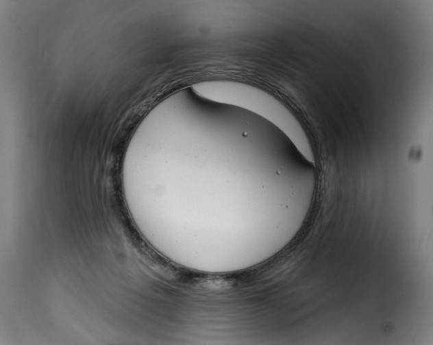 X0000115230217200911201605