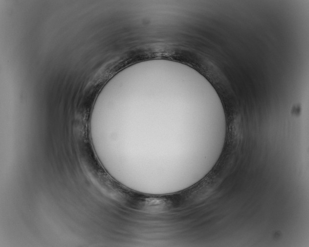 X0000115230218200911201605