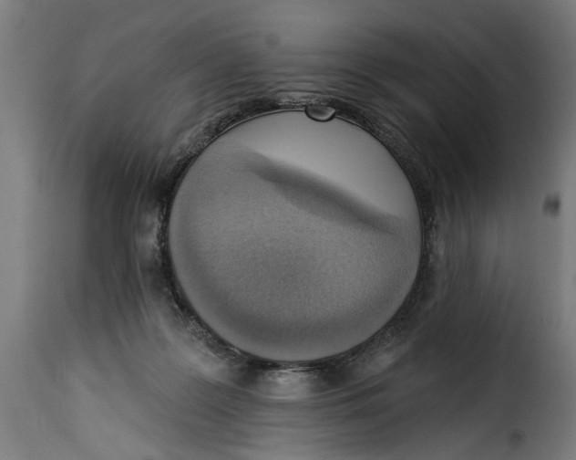 X0000115230219200911201605