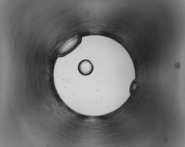 X0000115230221200911201605