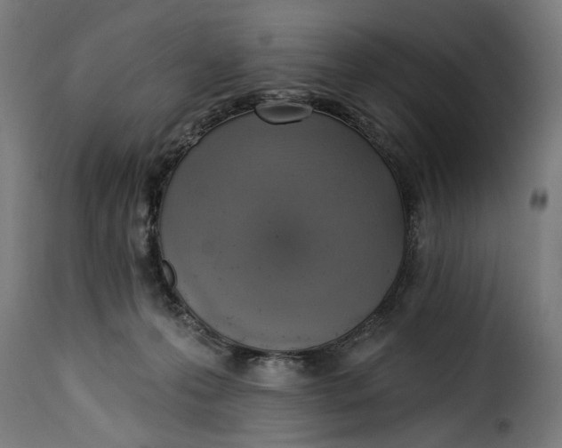 X0000115230223200911201605