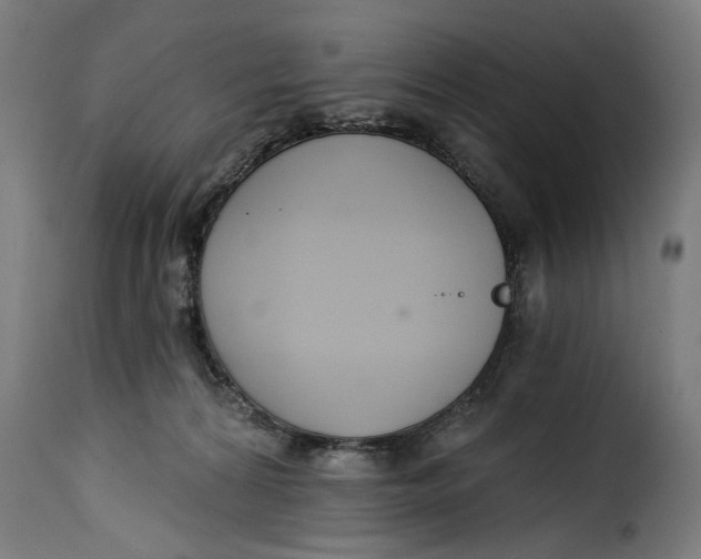 X0000115230224200911201605