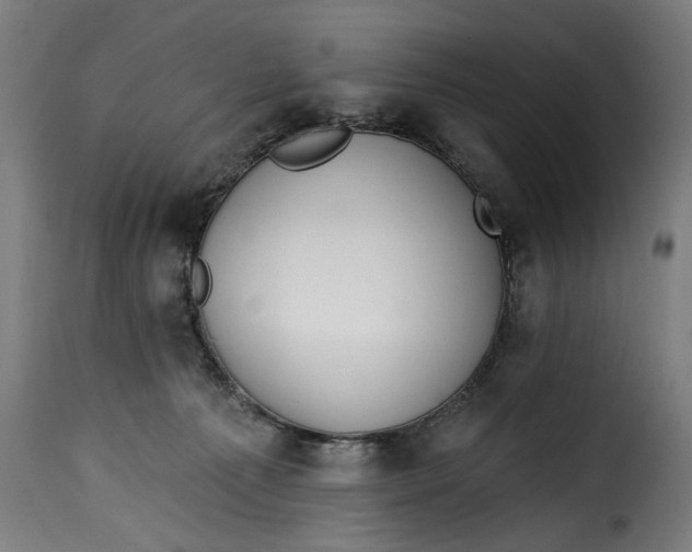 X0000115230225200911201605